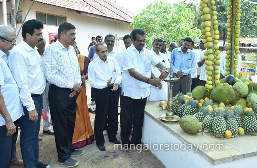 Fruits mela mangalore